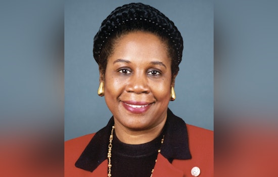 Houston City Council Advances Plan to Rename Terminal E for Sheila Jackson Lee