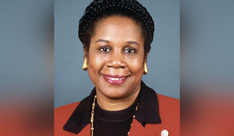 Houston City Council Advances Plan to Rename Terminal E for Sheila Jackson Lee