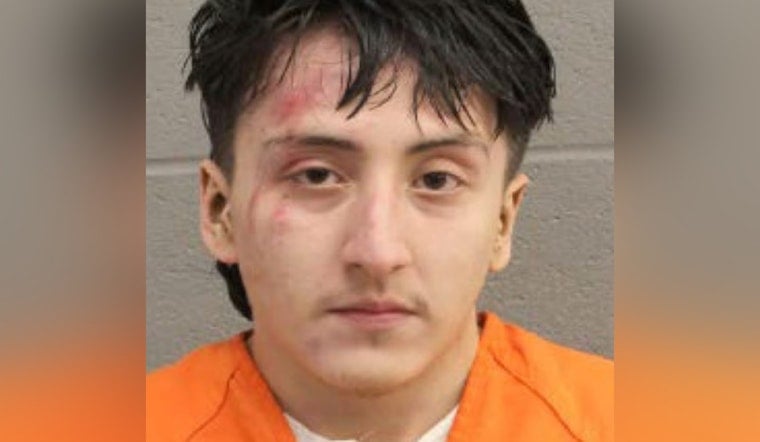 Houston Man Charged with Attempt to Disarm Deputy and Assault on Public Servant in Harris County
