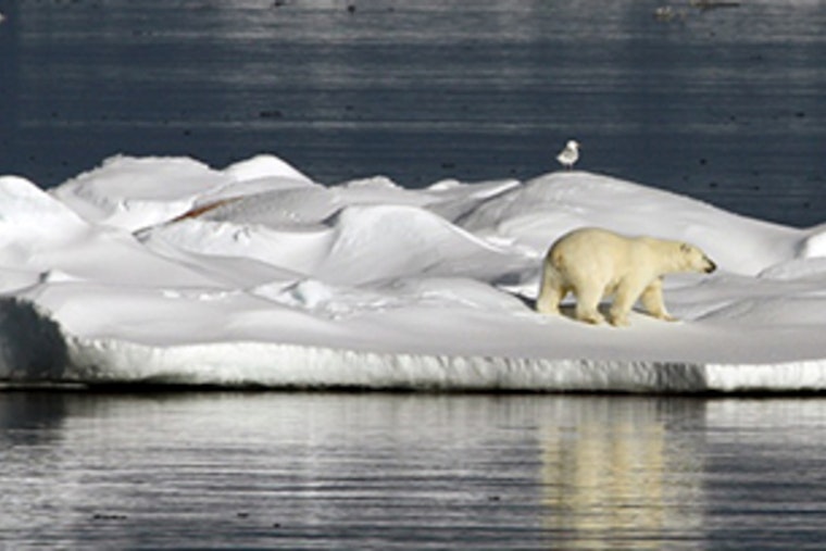 Houston Warned of More Extreme Weather as Arctic Report Card Highlights Global Climate Shifts