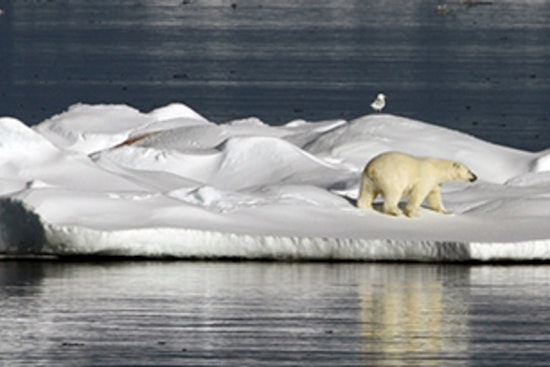 Houston Warned of More Extreme Weather as Arctic Report Card Highlights Global Climate Shifts
