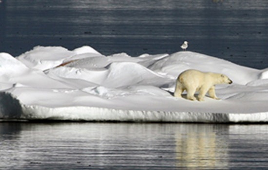 Houston Warned of More Extreme Weather as Arctic Report Card Highlights Global Climate Shifts