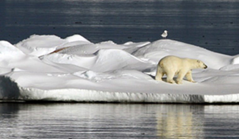 Houston Warned of More Extreme Weather as Arctic Report Card Highlights Global Climate Shifts