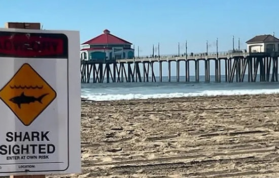 Huntington Beach Ups Lifeguard Patrols Following Shark Encounters; City Officials Urge Adherence to Safety Guidelines