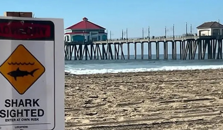 Huntington Beach Ups Lifeguard Patrols Following Shark Encounters; City Officials Urge Adherence to Safety Guidelines