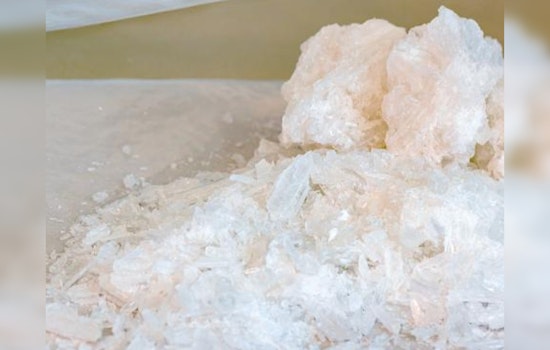Illinois Man Sentenced to 10 Years for Meth Trafficking After K-9 Detection at Texas Border