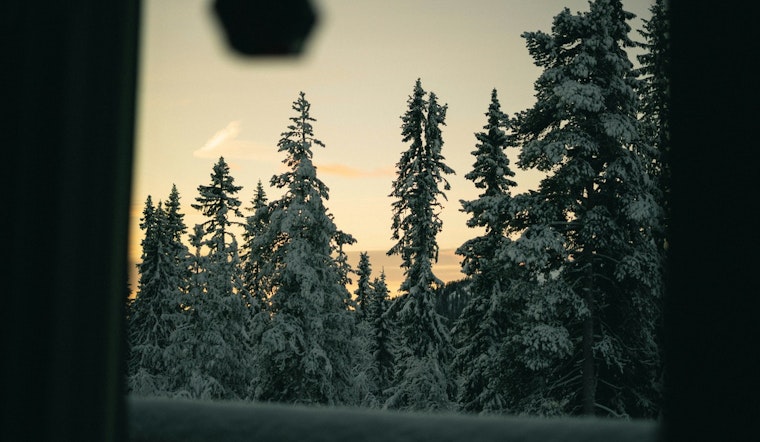 Indianapolis Braces for Steady Winter Temps and Rainy Forecast Ahead of Christmas