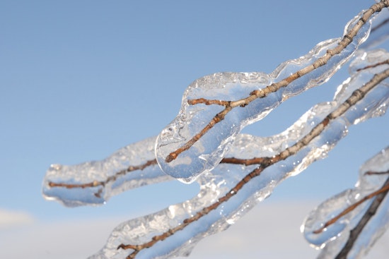 Indianapolis on Alert as NWS Issues Advisories for Freezing Rain, Gusting Winds, and Snow Showers
