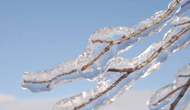 Indianapolis on Alert as NWS Issues Advisories for Freezing Rain, Gusting Winds, and Snow Showers