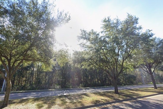 Jacksonville to See Sunnier Skies and Brisk Winds with Warmer Days Ahead, Predicts NWS