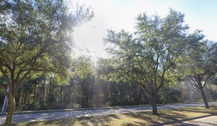 Jacksonville to See Sunnier Skies and Brisk Winds with Warmer Days Ahead, Predicts NWS