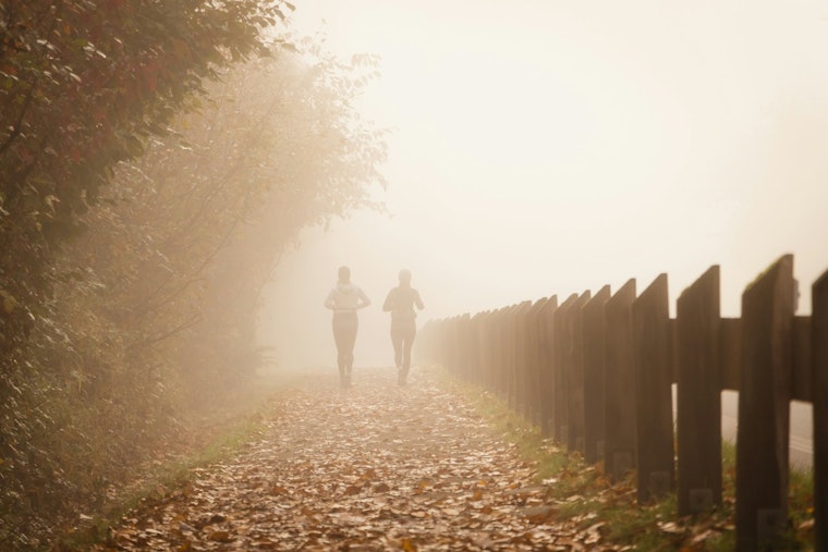 Jacksonville Wakes to Christmas Fog Mild Weather Favors Holiday Festivities
