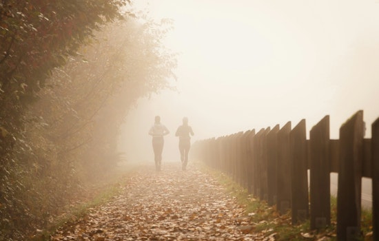 Jacksonville Wakes to Christmas Fog Mild Weather Favors Holiday Festivities
