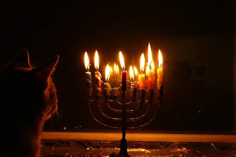 Jewish Communities Illuminate Winter Nights with Chanukah Celebrations in Seattle, Rochester, and Washington D.C.