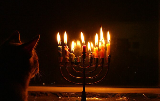 Jewish Communities Illuminate Winter Nights with Chanukah Celebrations in Seattle, Rochester, and Washington D.C.