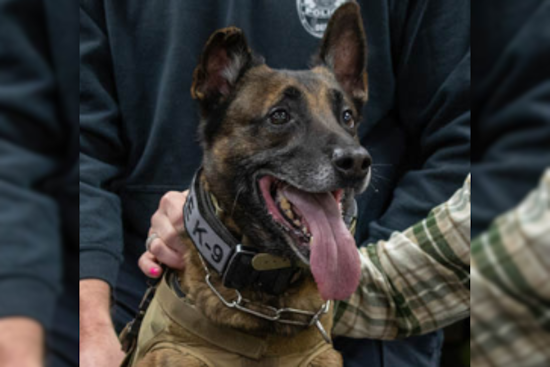 Johnson City Celebrates the Retirement of K9 Pico After Years of Dedicated Service to JCPD