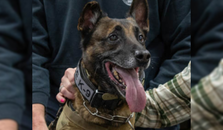 Johnson City Celebrates the Retirement of K9 Pico After Years of Dedicated Service to JCPD