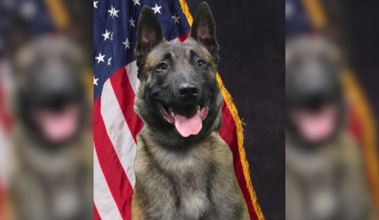 K-9 Hero Riggs Assists in Arrest of Armed Felony Suspect in Colorado Springs