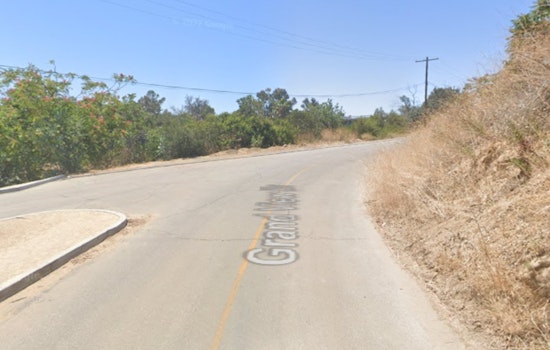 LAFD Quick to Contain Brush Fire Near Elysian Park, No Injuries Reported