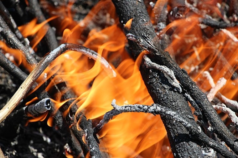 LAFD Rapidly Extinguishes Two Small Brush Fires in Pacific Palisades, Prevents Spread
