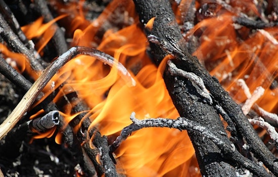 LAFD Rapidly Extinguishes Two Small Brush Fires in Pacific Palisades, Prevents Spread