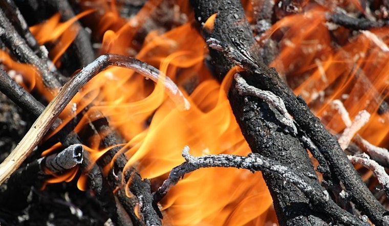 LAFD Rapidly Extinguishes Two Small Brush Fires in Pacific Palisades, Prevents Spread