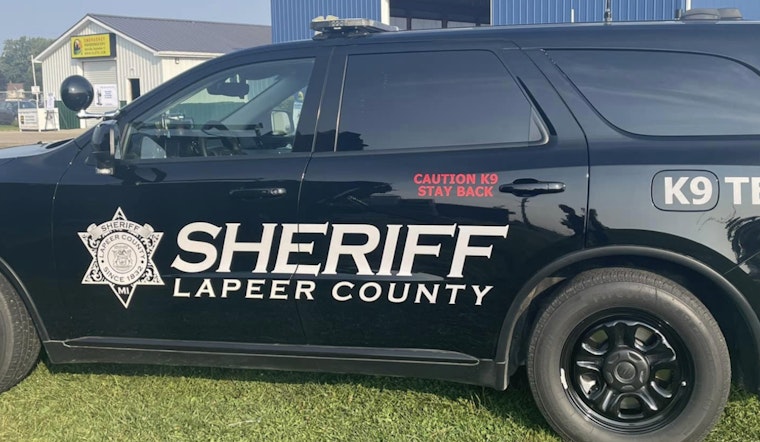 Lapeer County Woman Dies While Attempting to Save Dog from Frozen Pond