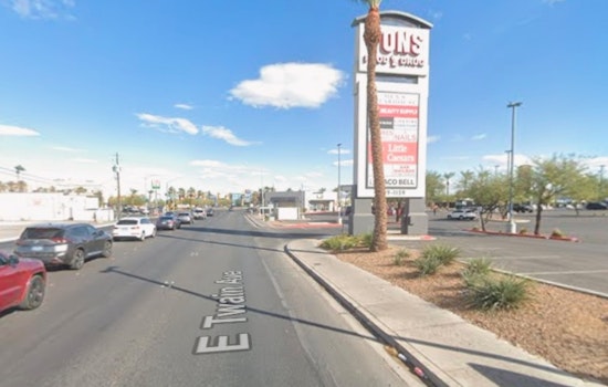 Las Vegas Man Arrested, Faces Felony Animal Cruelty Charge for Death of Abandoned Dog