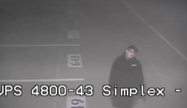 Las Vegas Police Seek Public's Help to Identify Person of Interest in Graffiti Vandalism Case