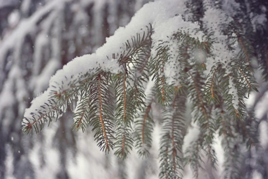 Las Vegas Region Faces Snow, Gusty Winds as Storm Passes, Weather to Improve Over the Week
