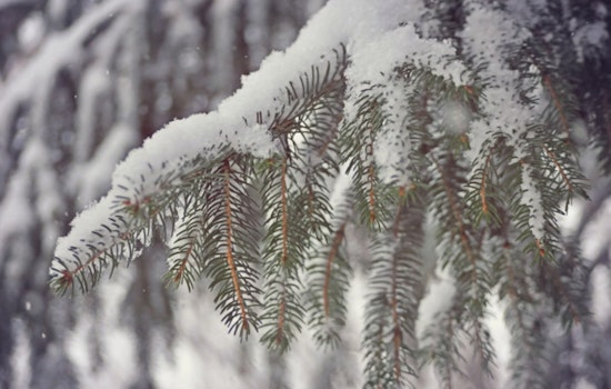 Las Vegas Region Faces Snow, Gusty Winds as Storm Passes, Weather to Improve Over the Week