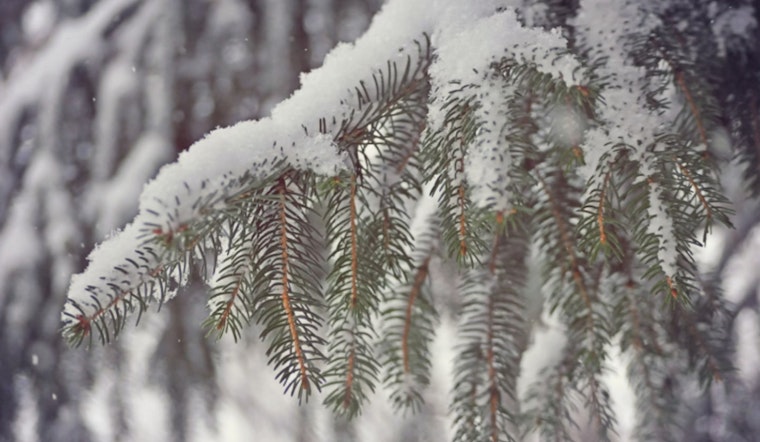 Las Vegas Region Faces Snow, Gusty Winds as Storm Passes, Weather to Improve Over the Week