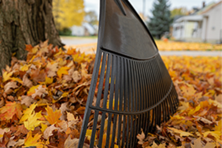 Last Chance for Worthington Residents: Final Curbside Leaf Collection Scheduled for December 9