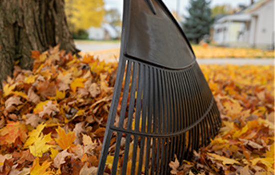 Last Chance for Worthington Residents: Final Curbside Leaf Collection Scheduled for December 9
