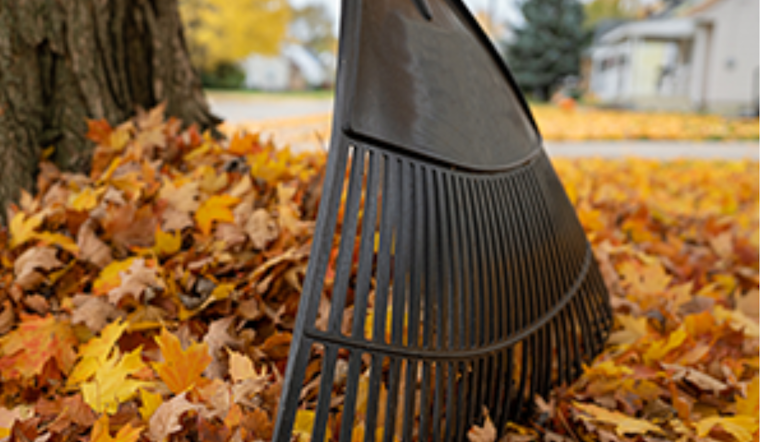 Last Chance for Worthington Residents: Final Curbside Leaf Collection Scheduled for December 9