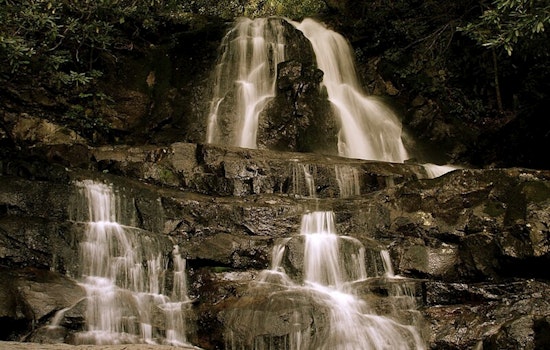 Laurel Falls Trail in Great Smoky Mountains Set for 18-Month Rehabilitation, Improved Safety and Visitor Experience Await