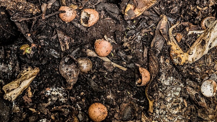 Laveen Composting Plant Issued Cease-and-Desist Over Offensive Odors, Residents Await Relief