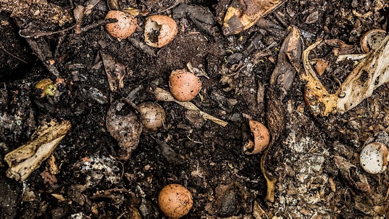 Laveen Composting Plant Issued Cease-and-Desist Over Offensive Odors, Residents Await Relief