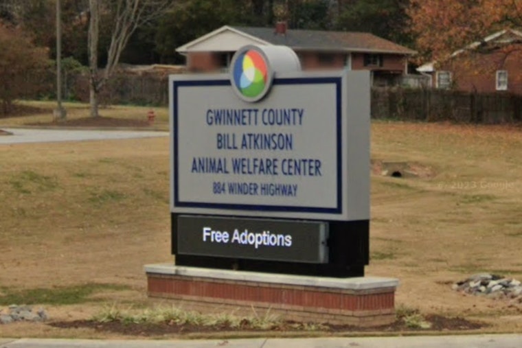 Lawrenceville's Bill Atkinson Animal Welfare Center Closed Amid Strep Zoo Outbreak