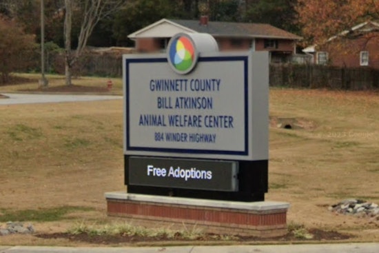 Lawrenceville's Bill Atkinson Animal Welfare Center Closed Amid Strep Zoo Outbreak