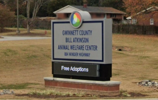 Lawrenceville's Bill Atkinson Animal Welfare Center Closed Amid Strep Zoo Outbreak