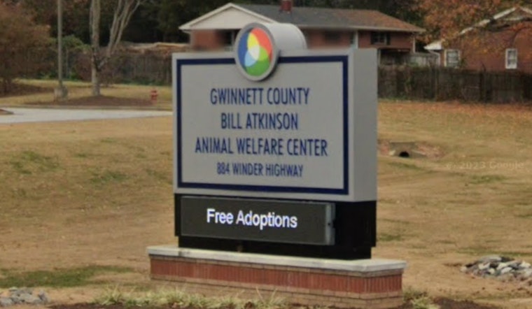 Lawrenceville's Bill Atkinson Animal Welfare Center Closed Amid Strep Zoo Outbreak