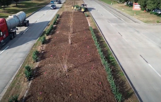 League City Embarks on Beautification Mission with TxDOT to Greenify Major Roadways