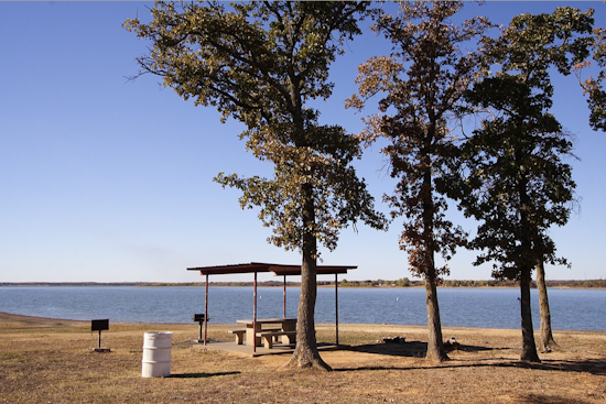 Lewisville Initiates Eco-Friendly Christmas Tree Recycling Program to Offer Free Public Mulch
