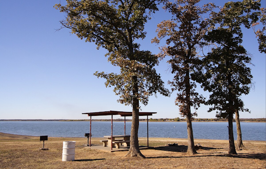 Lewisville Lake Park Invites Residents to Recycle Christmas Trees for Greener Future