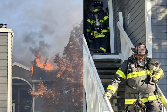 Livermore Apartment Complex Ravaged by Fire; Firefighters Injured, Kitten Rescued Amidst Chaos
