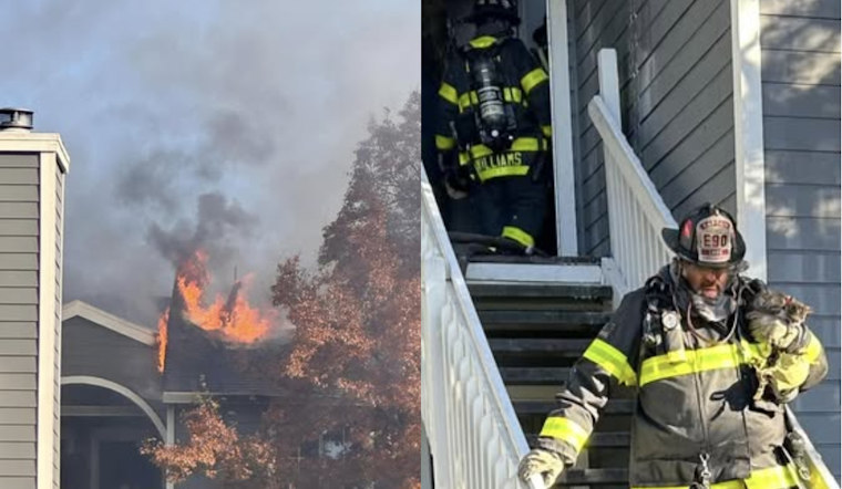 Livermore Apartment Complex Ravaged by Fire; Firefighters Injured, Kitten Rescued Amidst Chaos