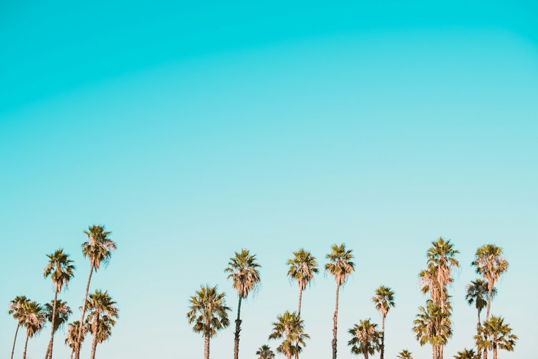 Los Angeles Forecasts a Sunny Continuation with Mild Temperatures for the Upcoming December Week
