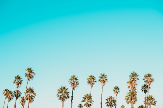Los Angeles Forecasts a Sunny Continuation with Mild Temperatures for the Upcoming December Week