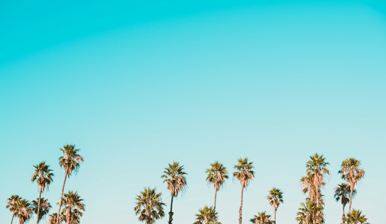 Los Angeles Forecasts a Sunny Continuation with Mild Temperatures for the Upcoming December Week